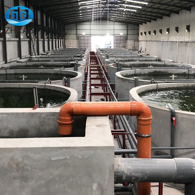 Factory price OEM custom durable intensive indoor ras tilapia fish farm aquaculture system