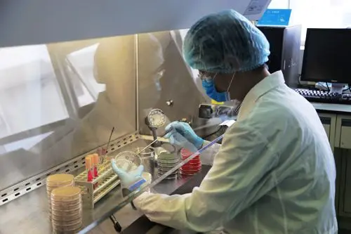 
Pure Natural Best Price Agaricus Blazei murrill powder Agaricus Blazei mushroom extract 