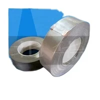 Flexible Stainless Steel Wire Rope Bird Netting Fence Zoo Aviary Parrot Mesh Plain Diamond Style Surface
