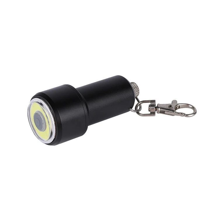 Handheld Aluminium Black Light Batteries Powered Mini Torch Tactical Flashlights Keychain