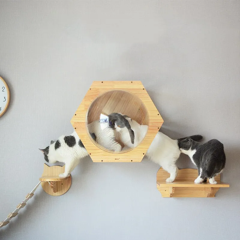 Cat Wall Shelves Scratch Frame mounted Interactive toys Cat Wall Furniture Interactive toys Cat Climbing Wall