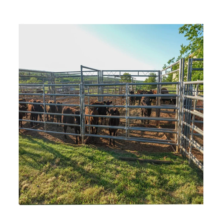 Heavy duty cattle corral panels cattle corral panels for rental