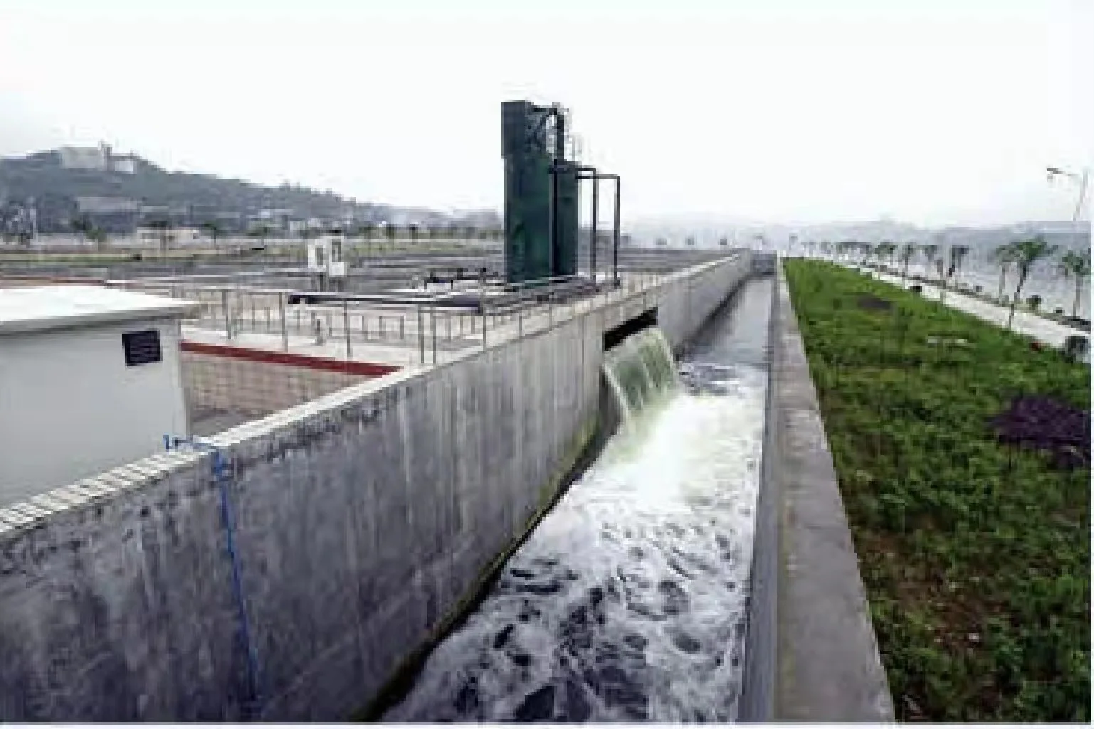 Pam Chemical Organic Anion Polyelectrolyte Cation Polymer Flocculant Msds For Sludge Dewatering