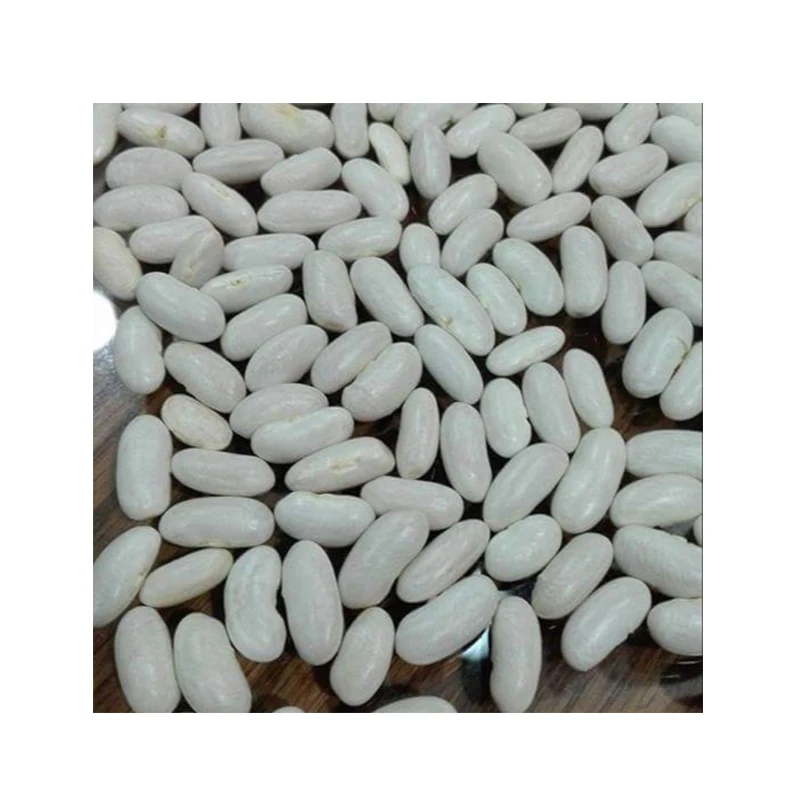 
Best Quality Egyptian Wholesale Small White Kidney Beans Price 