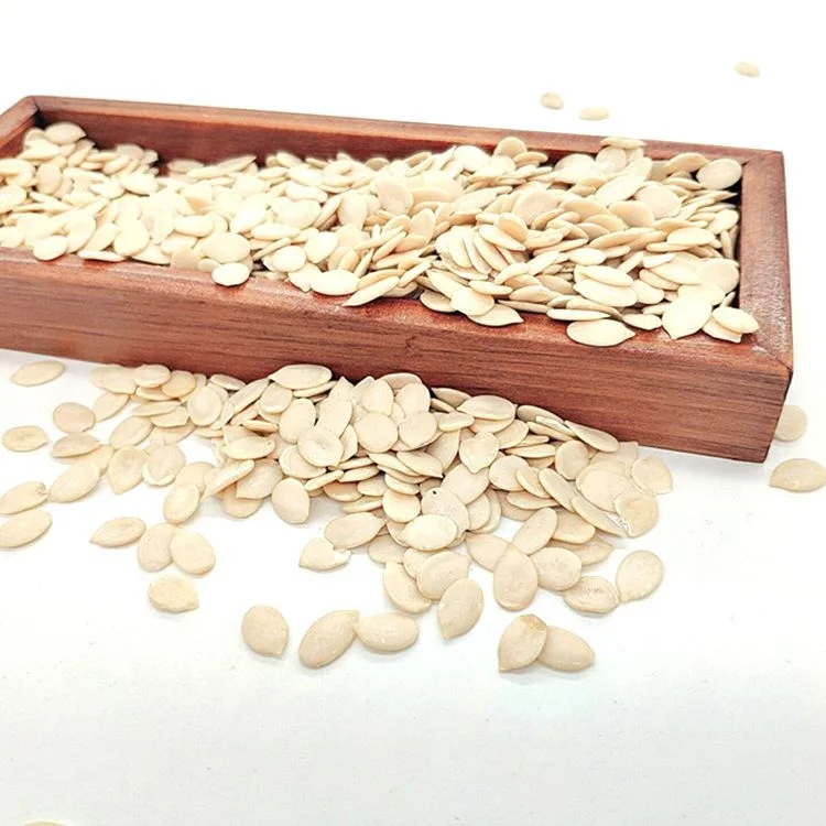 Китай новый урожай арбуза ядра семян с Халяль сертификат