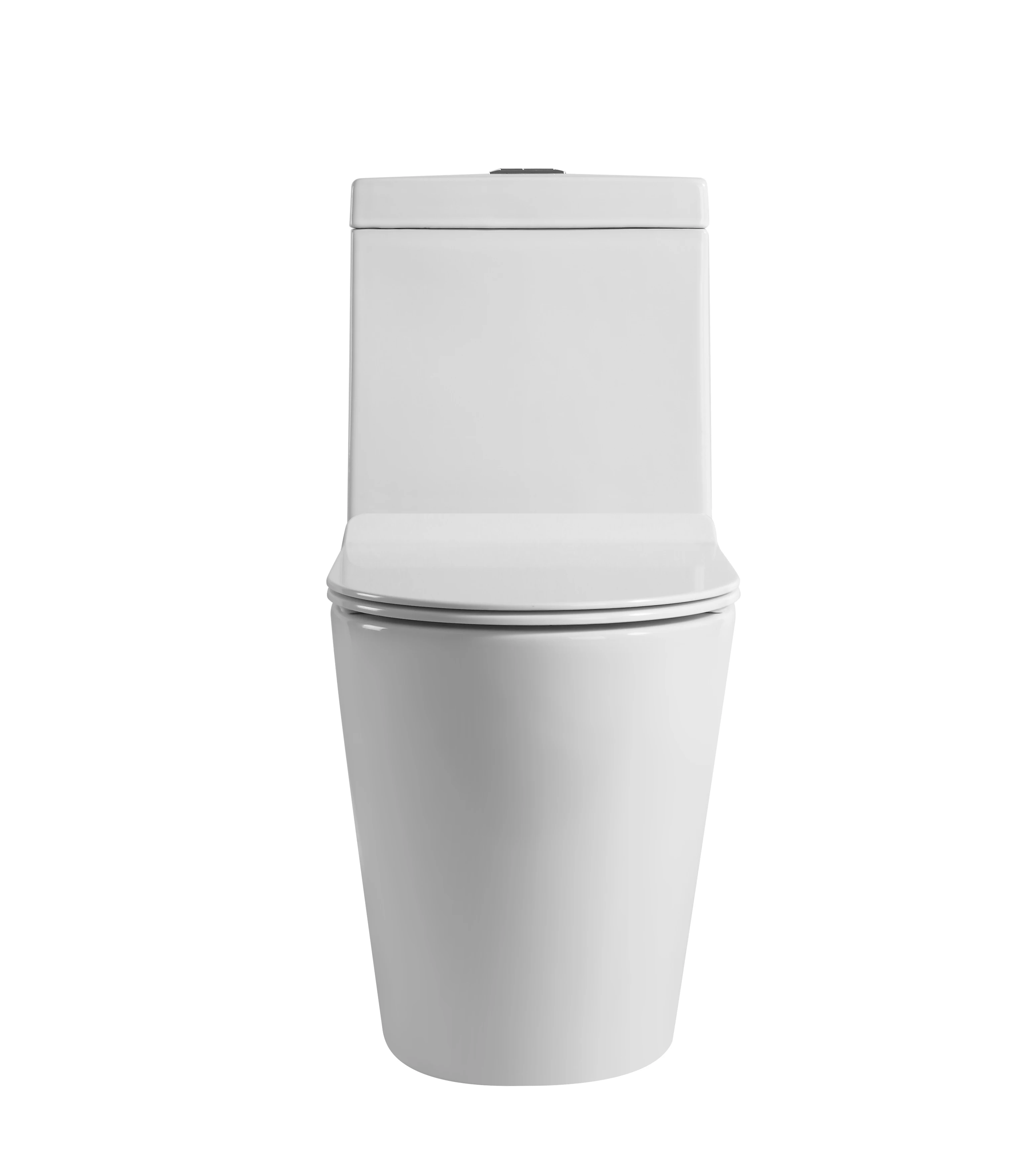 WC-1035 One Piece Toilet with Geberit or R&T Flush Valve Soft Closing Seat Cover Ramp Down Closer  Water Closet Toilet Bowl