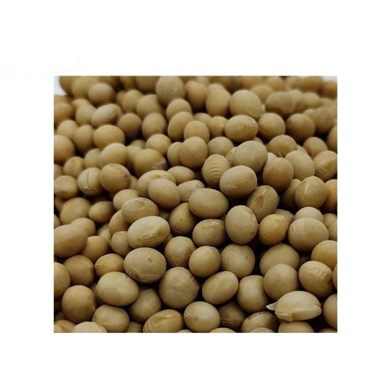 Good Quality Fast Selling 10X250G Healthy Dried Soya Bean for Soy Milk Guaranteed Quality Grain At Low Market Price