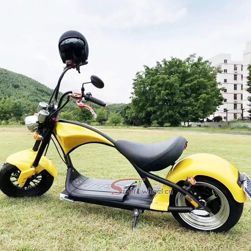 Holland Warehouse New EEC/COC Citycoco 3000W Homologation Electric Scooter With Removable Lithium Battery