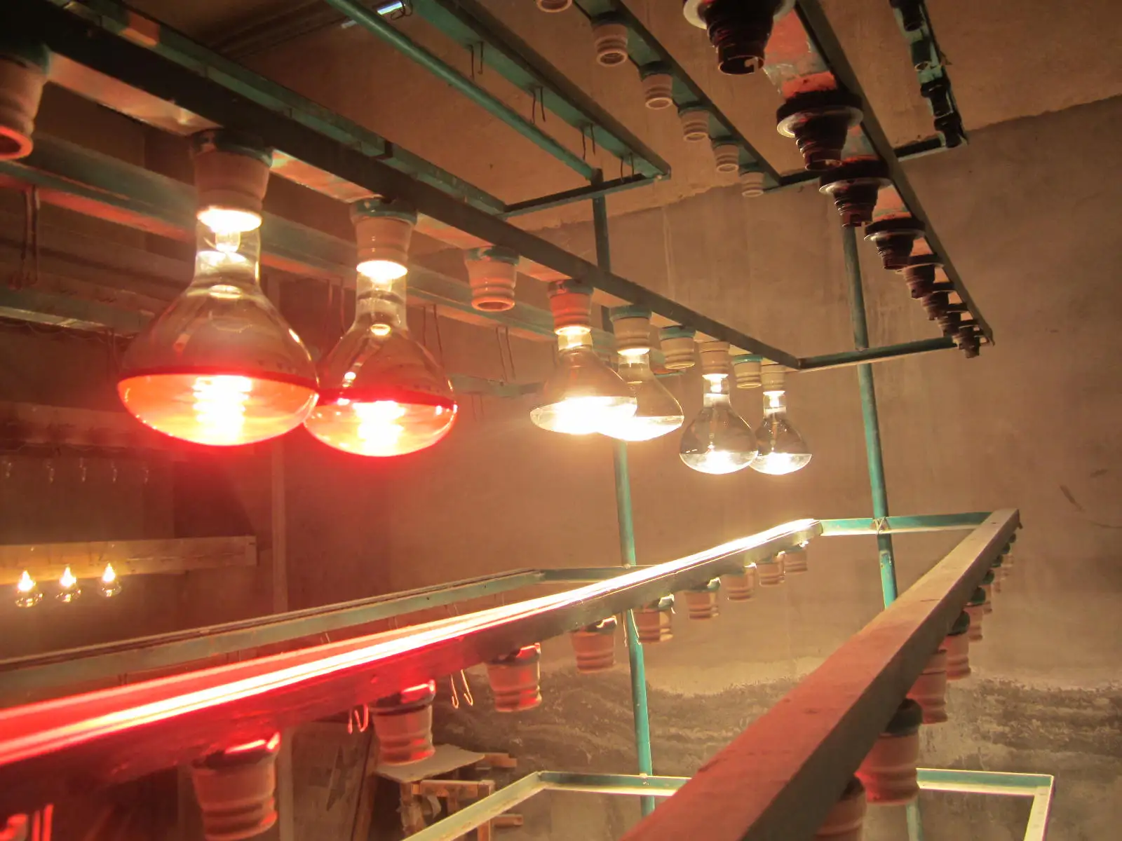 Heat Lamp Red Infrared Bulbs PAR38 130V 230V 125W 150W E27 Glass Lamp Bulb for Food Service, Brooder Bulb, Chicks, Pet, Bathroom