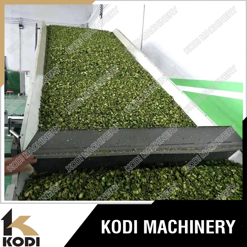 KODI CBD Oil Processing CBD Hemp Flower Leaf Dryer