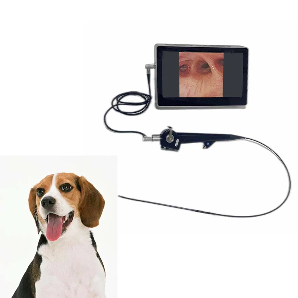 Портативная ручка медицинского видео Ларингоскопа многоразовая Гибкая видеобронхоскоп