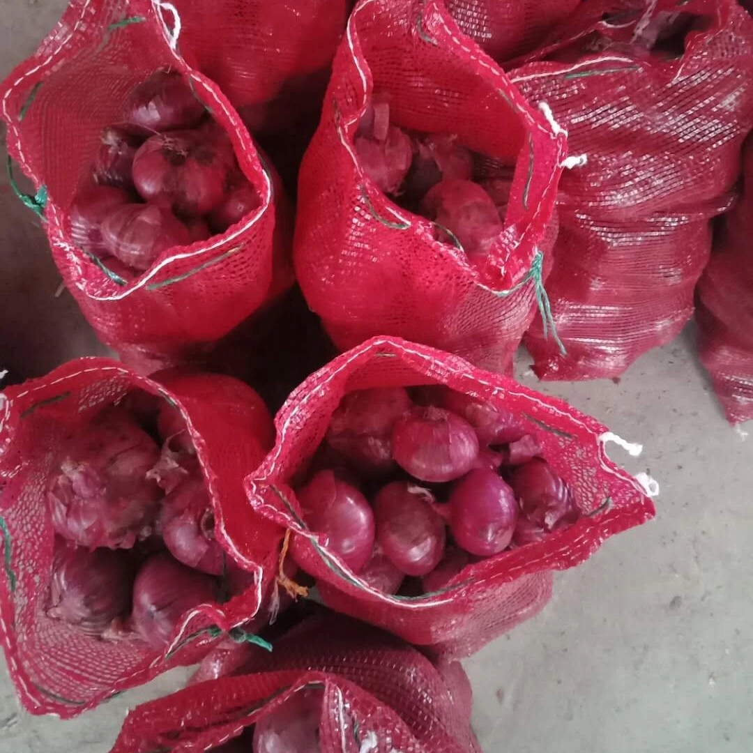 Onion RED Fresh Red Onion Yellow onion
