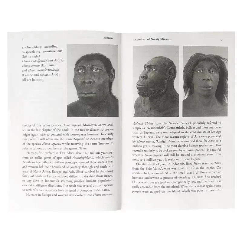 paper & paperboard printing  Israeli super bestseller English original makes humans re-examine their Homo sapiens