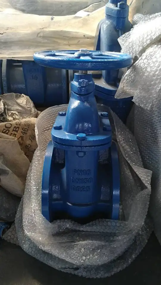 DIN затвор клапан чугун