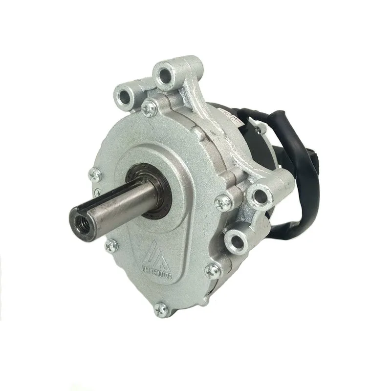 24 Volt Dc Gear Motor For Robot 300W 250W Wheelchair Electric Drive Motors