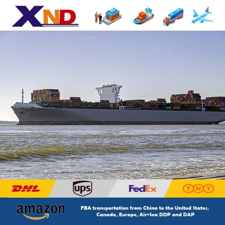 Door to Door Cargo Transport Logistics DDP Forwarding China Agent Sea Shipping from Shenzhen to USA International Transportation