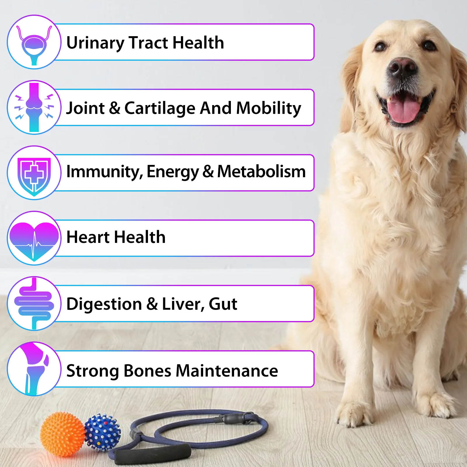 Oimmal Wholesale 60ml Glucosamine Dog Supplement 15 In 1 Multivitamin Drops for Skin Coat Heart Health Bones and Joint Support