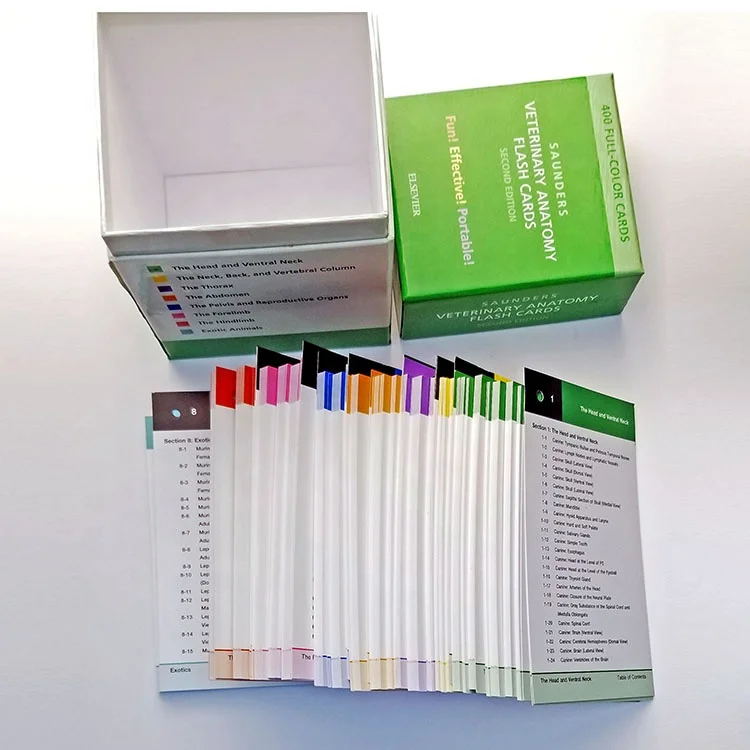 Custom Printing veterinary Anatomy Flash Cards  Extra Large Educational customized only