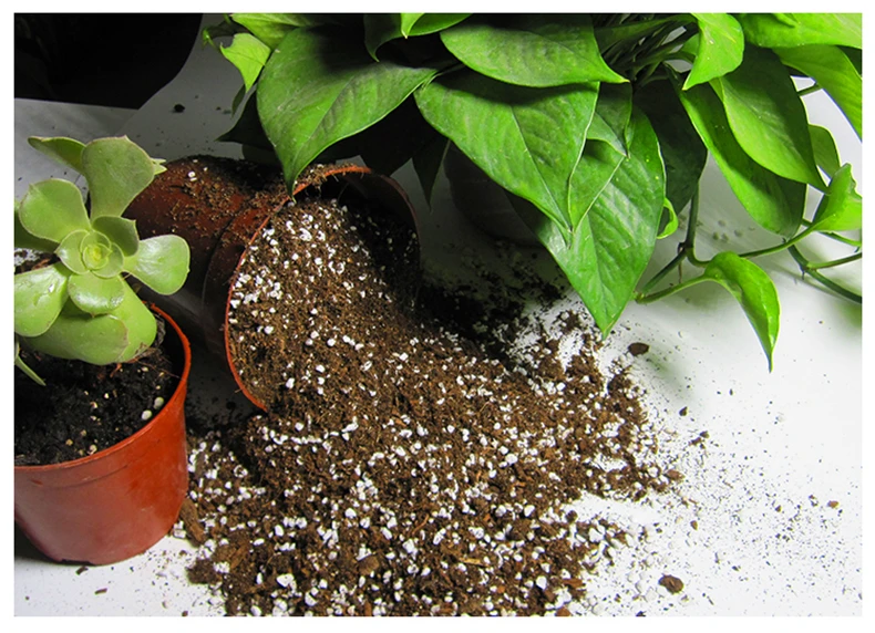 Lower price expanded perlite 3-6mm