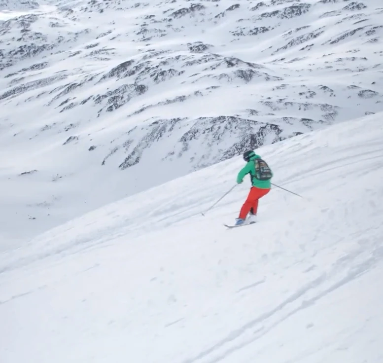 FLORUIT Adult Freeride skis wayback ski backcountry ski set equipment