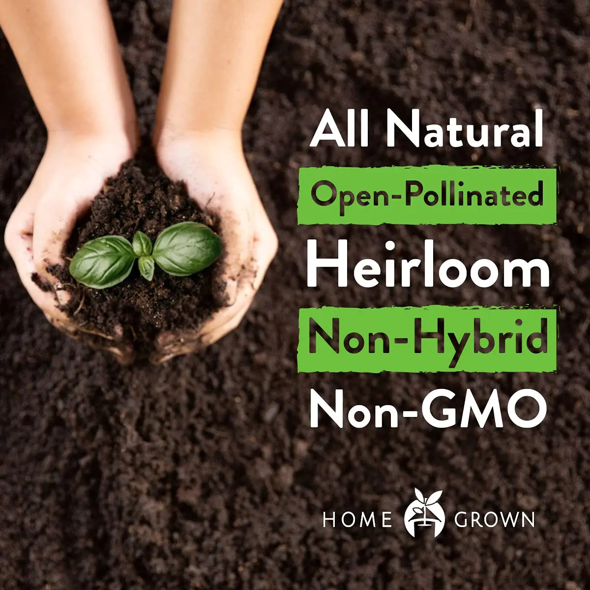 HOME GROWN Heirloom Non-GMO Tomato for Planting