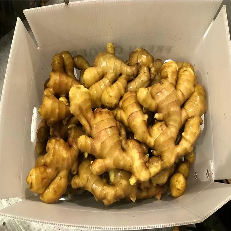 Available In Stock From Chinese For Sale At Good Prices Buy Newest Crop Fresh Ginger Vegetable