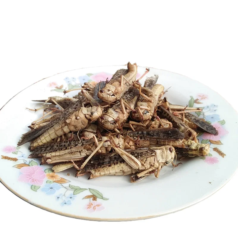 
Factory Sell organic animal feed natural dried grasshopper 
