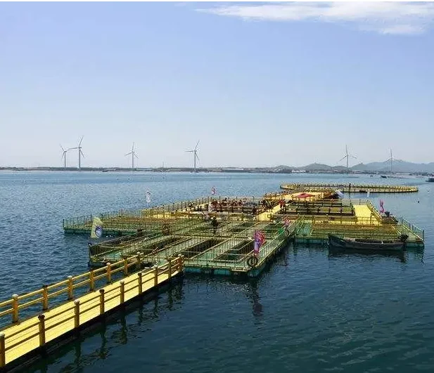 Extruder Machine For Produce HDPE Non-slip Ocean Marine Pedal For Aquaculture Farming Swimming Pool Water Platform Farming