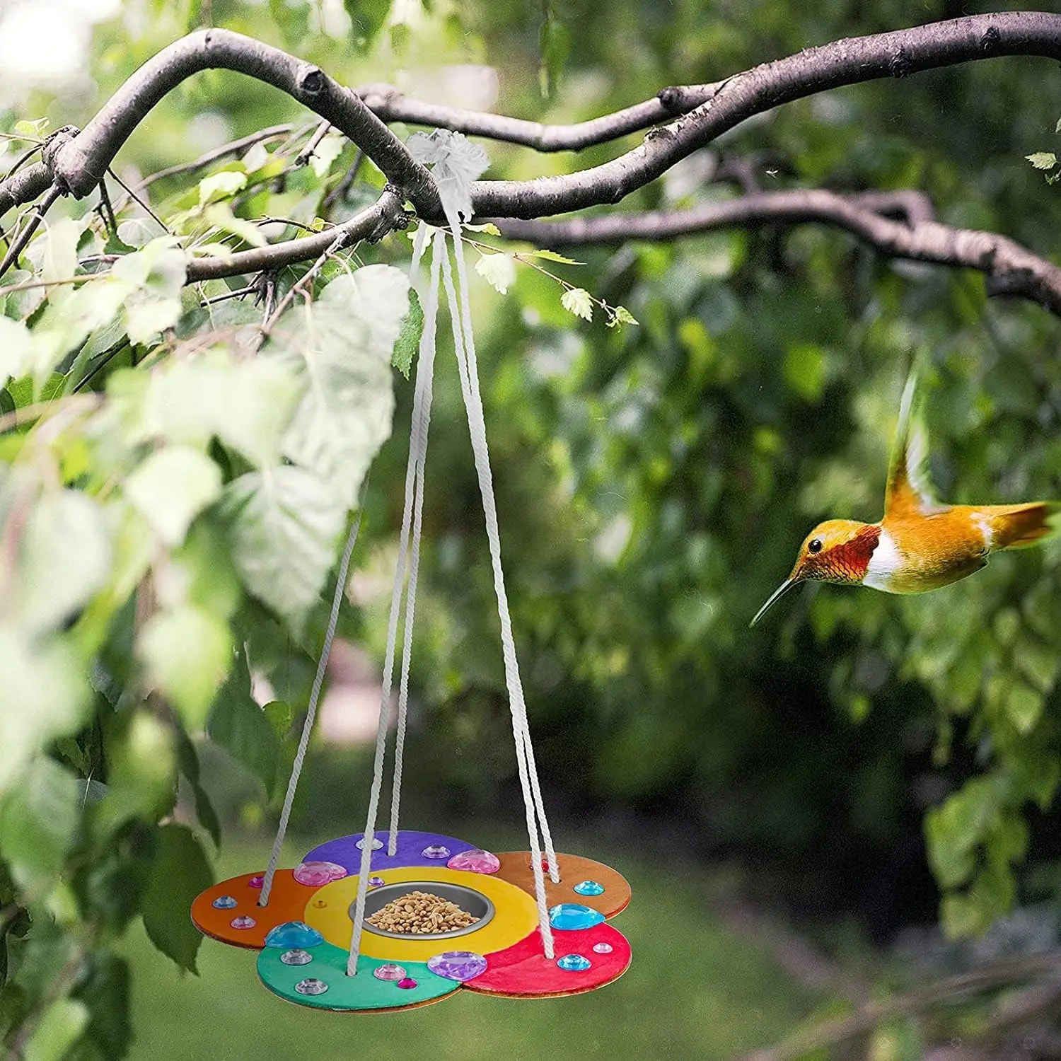 2Pack DIY Wooden Paint Kits Outdoor Toys for Boys & Girls Age 3-5,Kids Arts and Crafts Bird Feeders for Outside