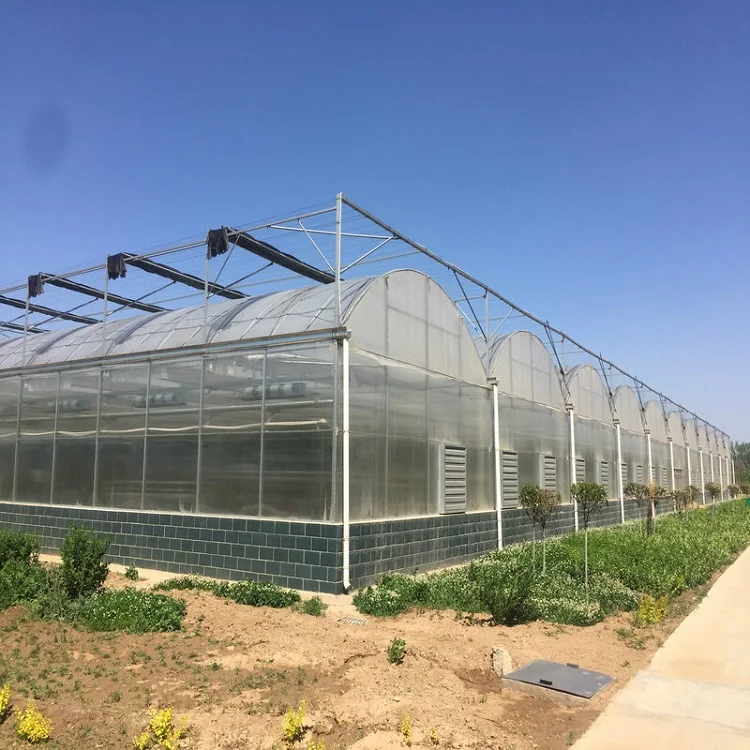 Best Selling Economical Multi-Span Greenhouse with greenhouse heating systems for winter