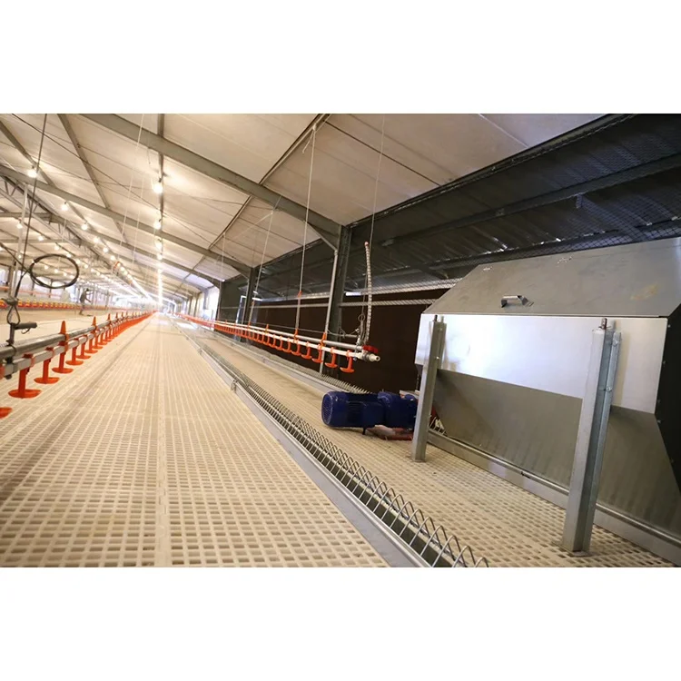 Animal Husbandry Equipment-Poultry Chain Feed System Accessory for Chicken Farming