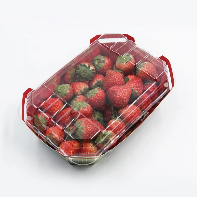 Disposable Fashion Strawberry Packaging Boxes  Cardboard  Box