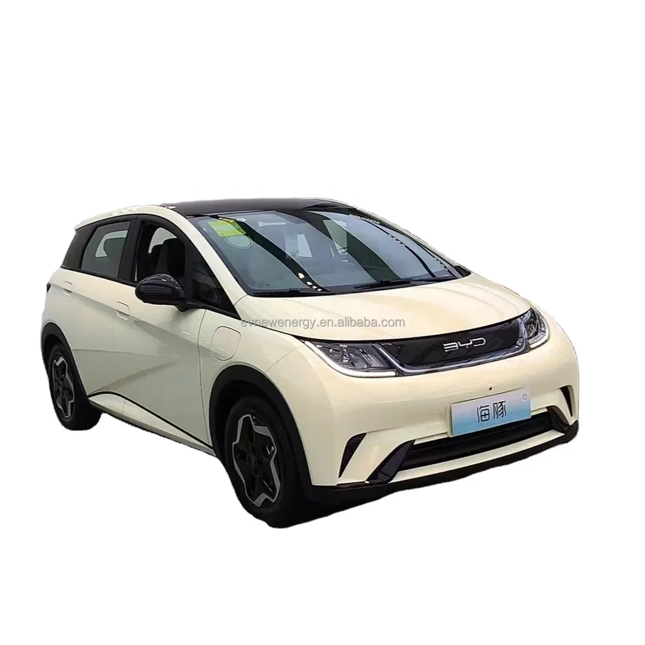 Модель автомобиля Byd Dolphin 2023 Haitun 420 км Бесплатная версия Бутон Дельфин с батареей