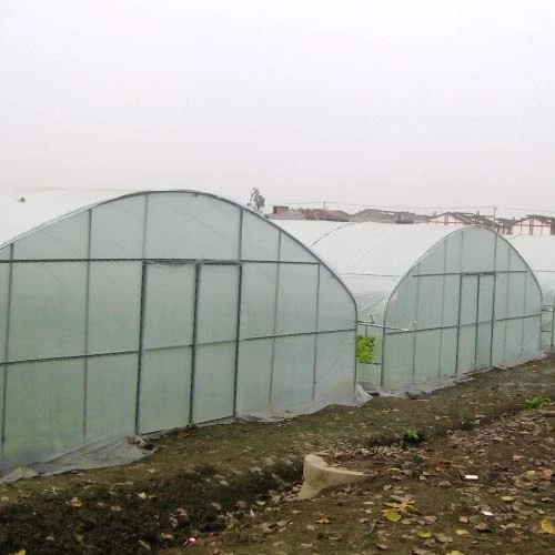 Customized greenhouse frame / Low cost  Tunnel Greenhouse for Flower and Vegetables