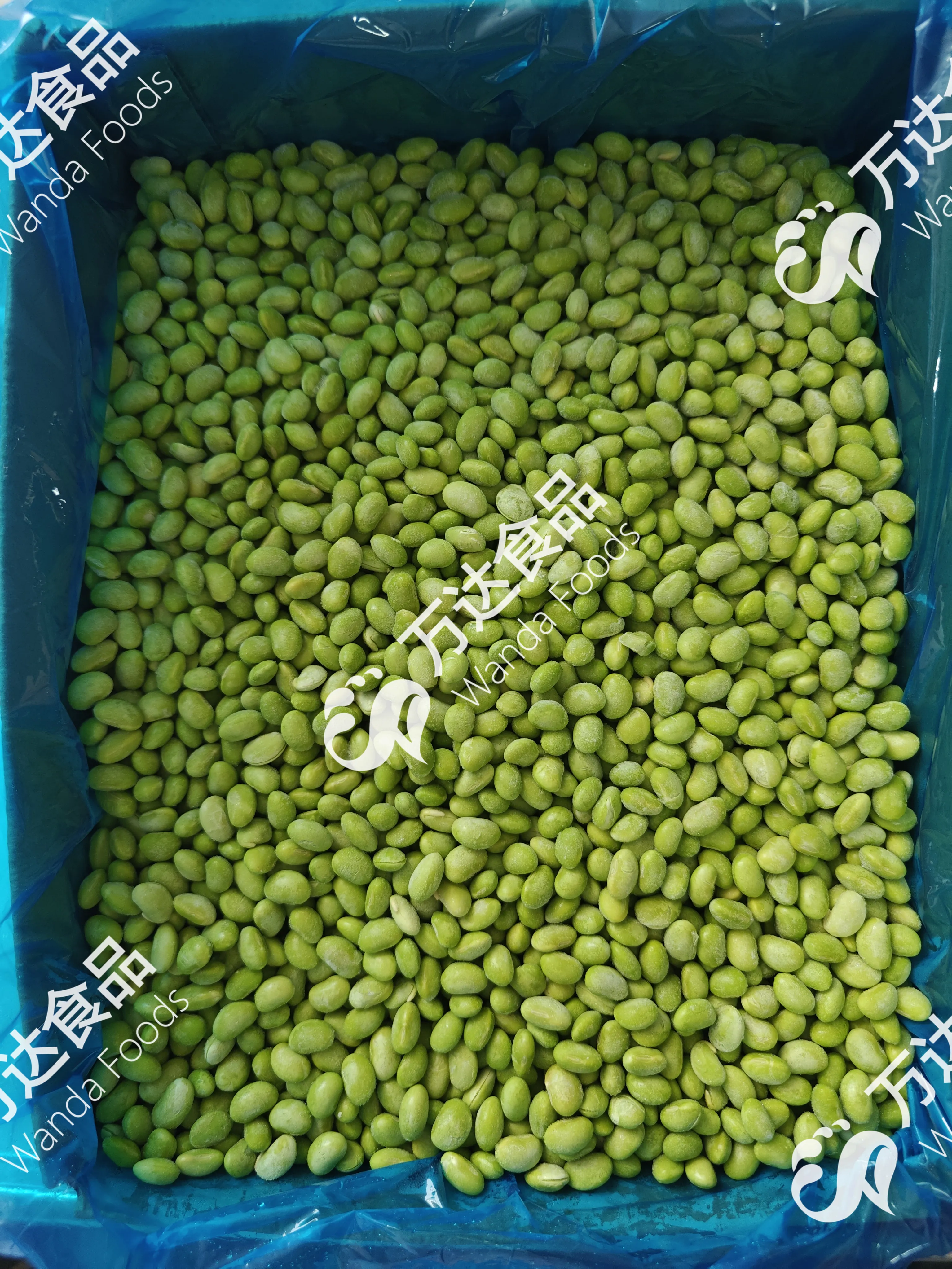 Factory directly sale IQF frozen green peas premium quality vegetable bulk price for export