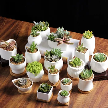 Home & Garden Office Desk Cheap Flowerpot Bamboo Saucer Stand Mini White Succulent Ceramic Plant Flower Pot Planter