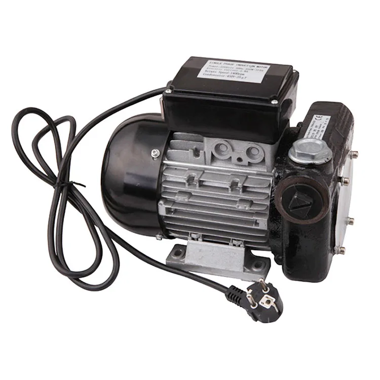Heavy Duty Portable 80LPM AC110V/220V Large Flow Self Priming Electric Diesel Fuel Transfer Pump