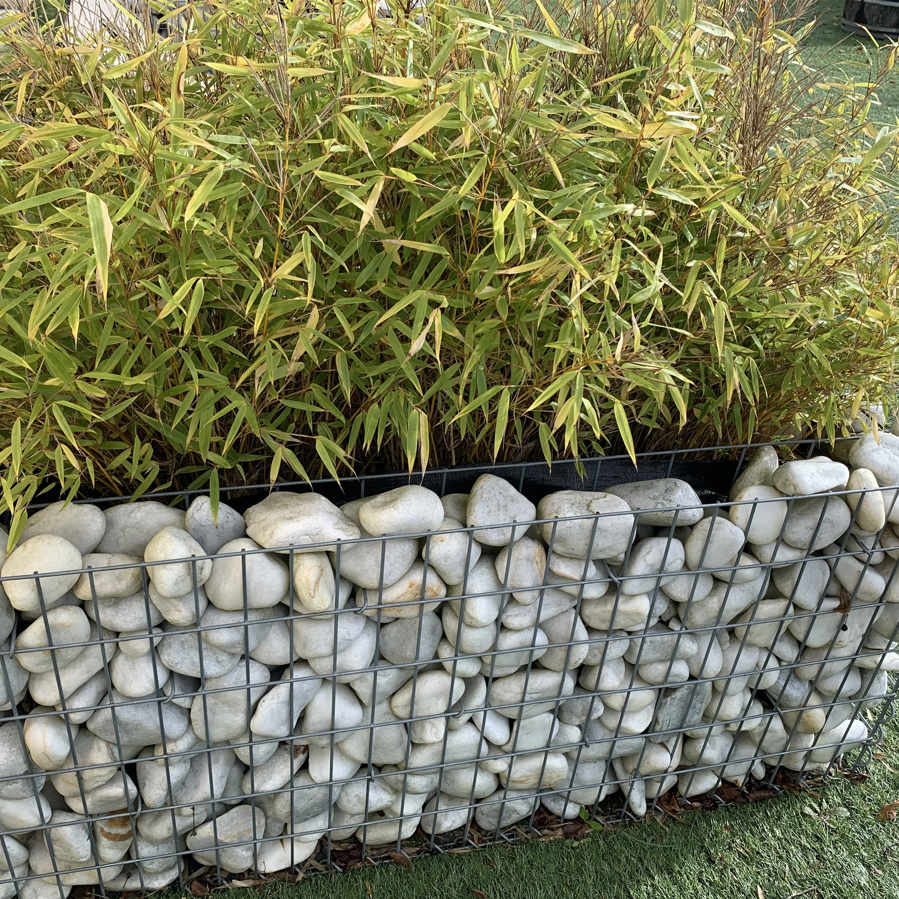 Best Price 50*100mm Galvanized Iron Gabion Basket Waterproof FSC-certified Gabion Box with Coating for Fence Gate Wire Model 3D