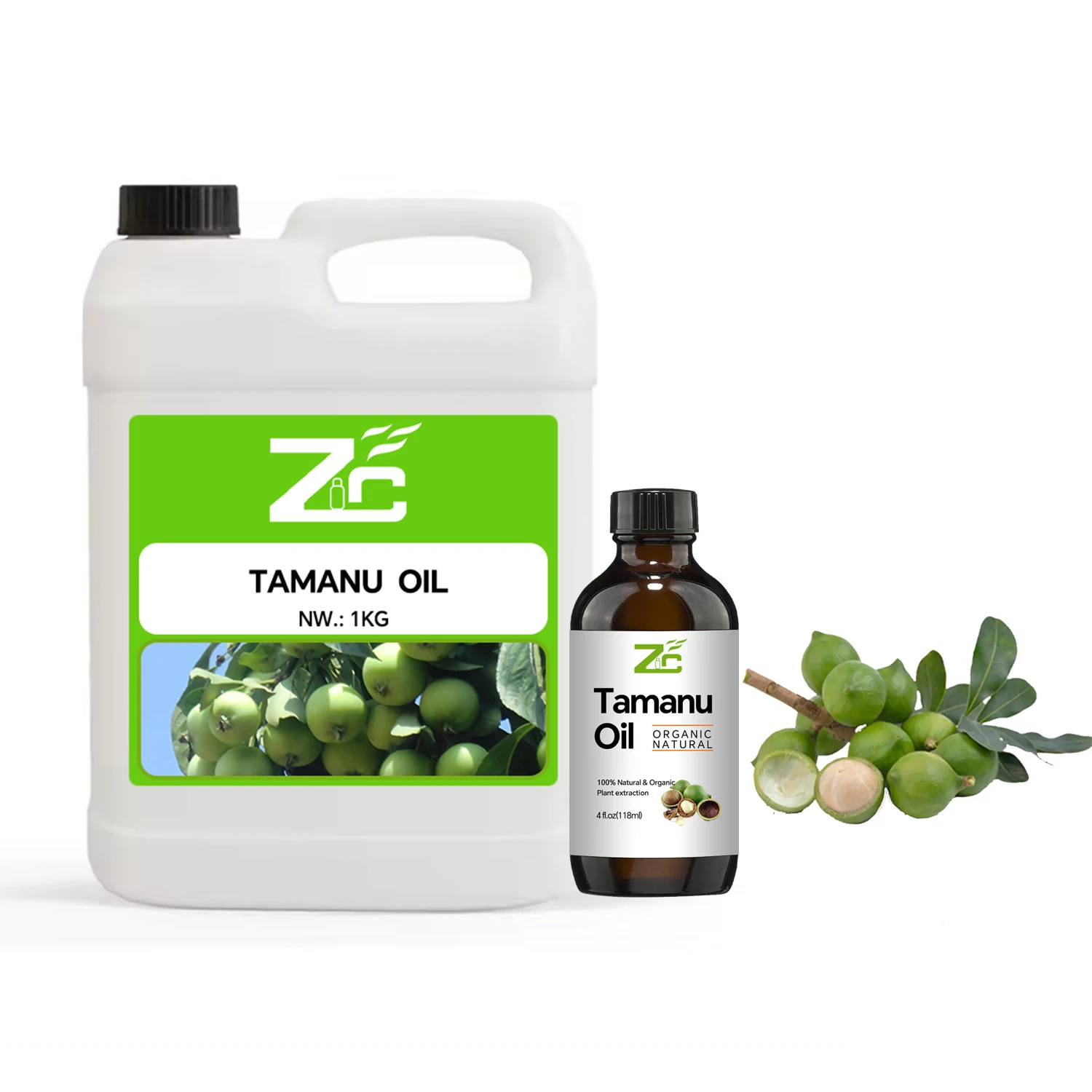 100% Pure Natural Essential Oil Tamanu Oil Cold Pressed Organic Manufacture Wholesale For Skin Hair Care
