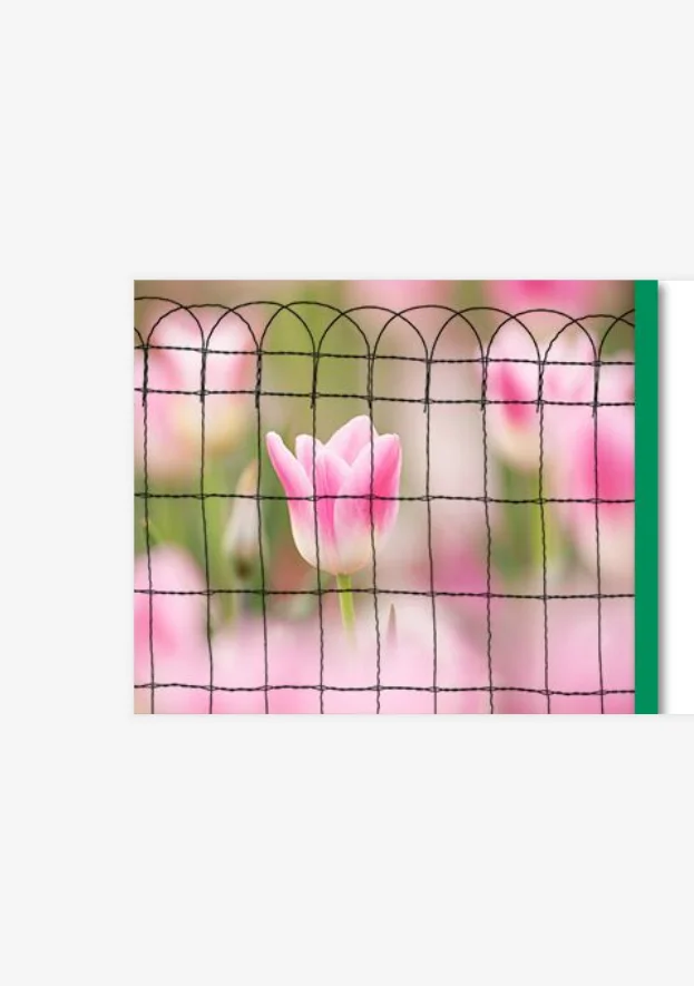 Garden decoration  flower beds Galvanized green fencing net iron wire mesh garden fence Border Fence