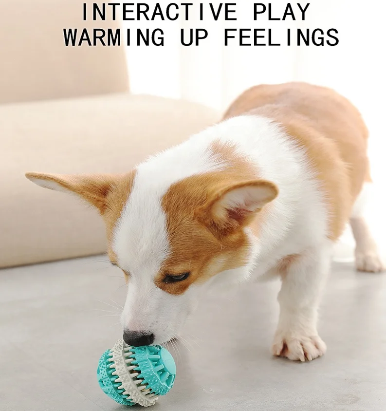 
Kimpets Wholesale 7CM Durable Food Leak Pet Toys Ball Pet Teeth Cleaning Toy Rubber Dog Chew Toy Ball 