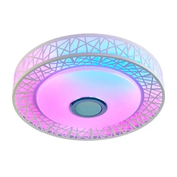 ENVIS 48W 40CM Diameter LED Ceiling Smart Lights RGB Dimmable APP Remote Control BT Music Speaker Bedroom Lamp