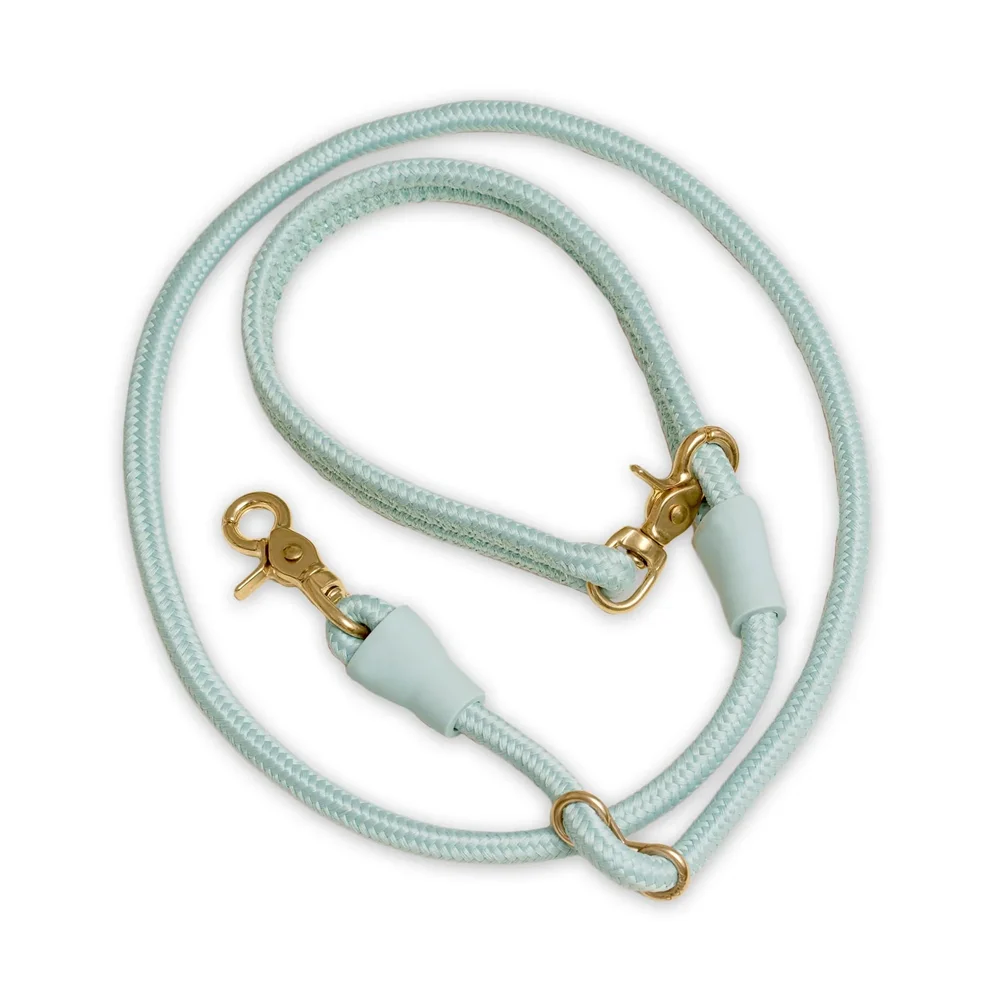 Factory Price Colorful  Nylon Round Rope Leash for Dogs Adjustable  Nylon Slip Rope Dog Leashes Custom ogo