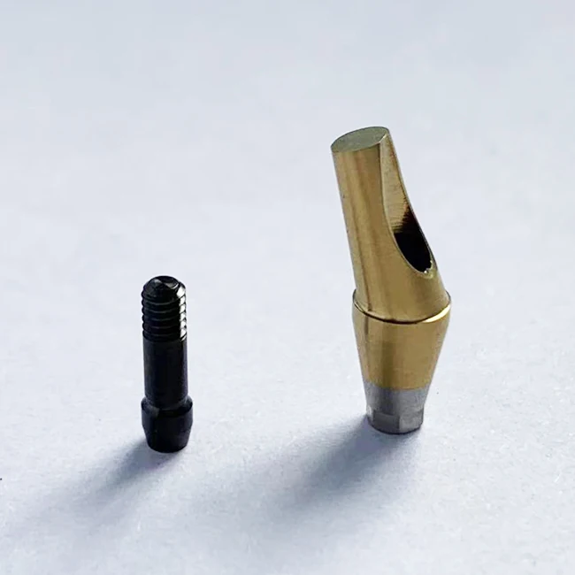 Dental implant Milling CAD CAM Abutment Abutment angled abutment For Neo Biotech with screw