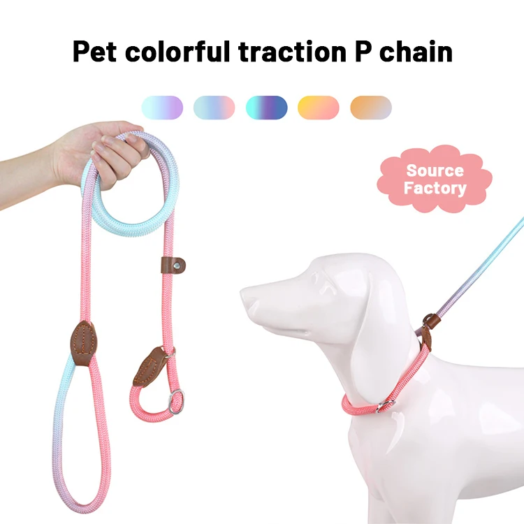 Colorful Comfortable Handle Heavy Duty P chain Rope Durable Adjustable Dog Leash For Medium Large and Small Dogs