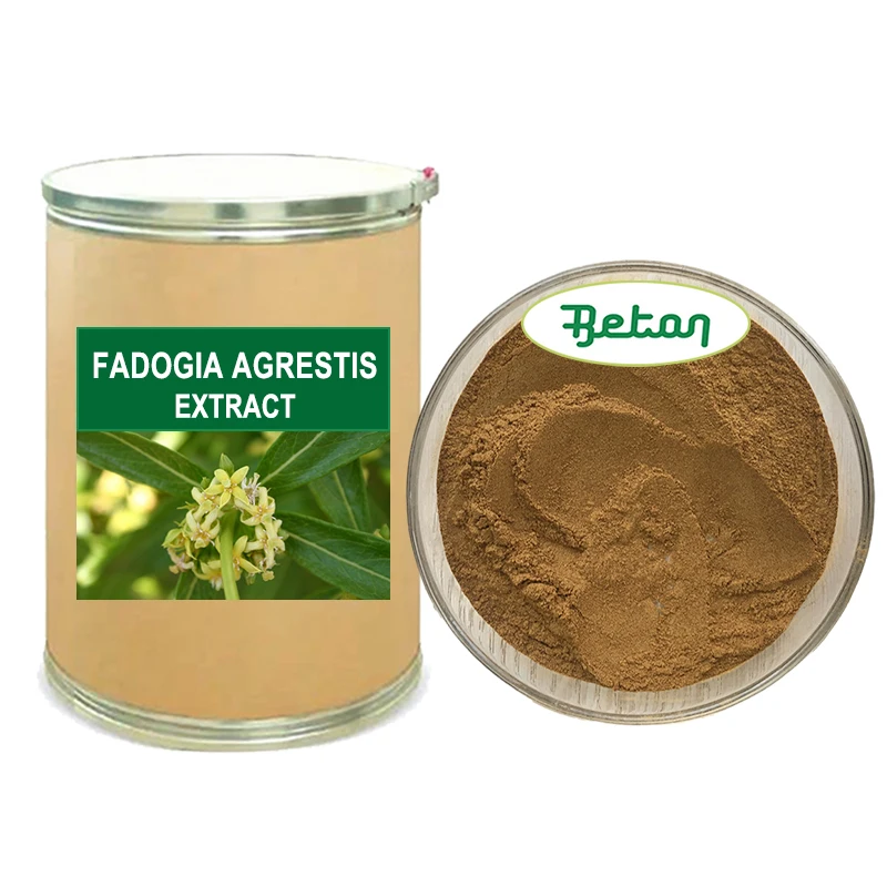 Wholesale Ingredient Supplement Fadogia Agrestis Oil Extract Powder 10:1 20:1 30:1 50:1 200:1 ISO 22000