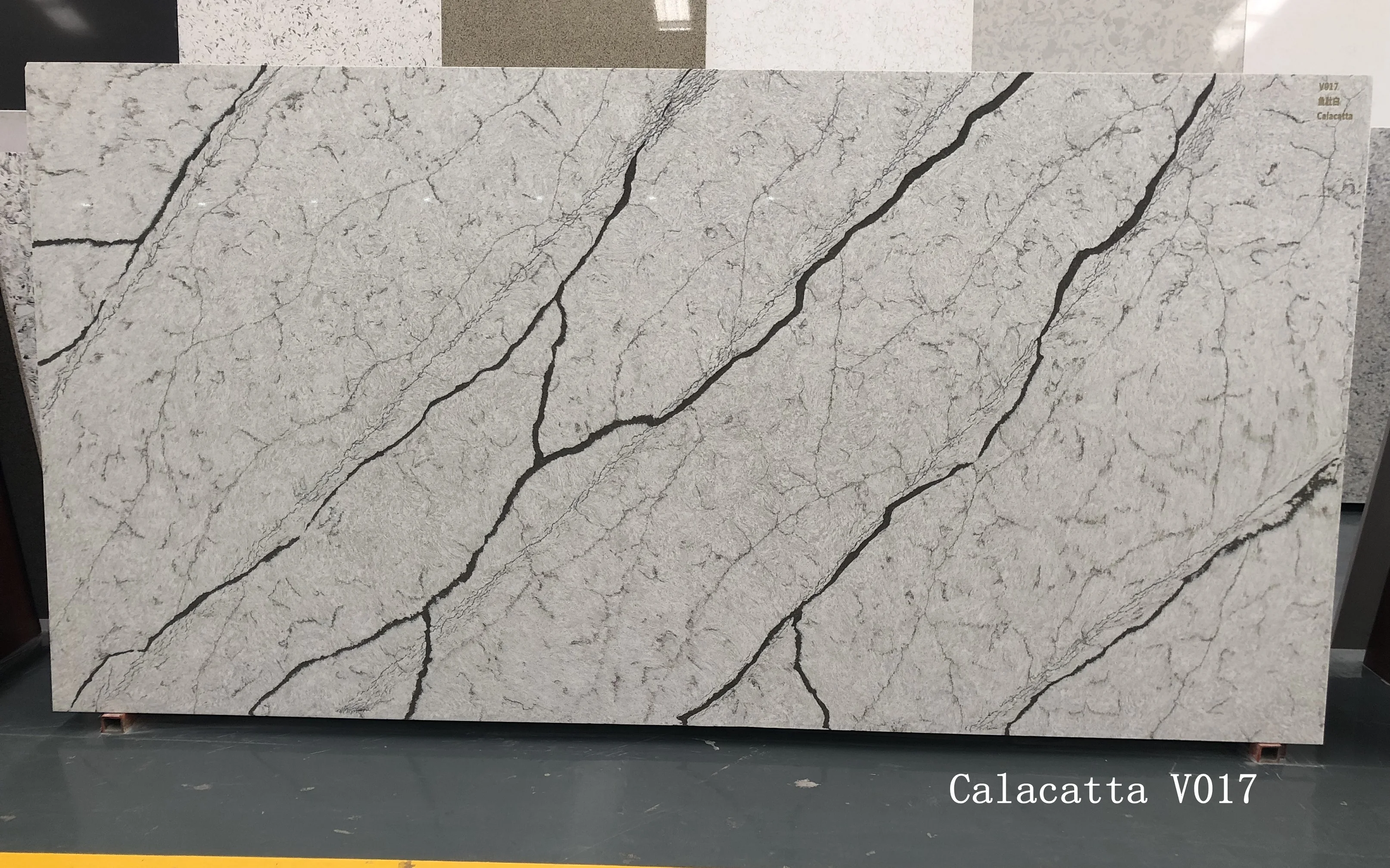 Calacatta 017