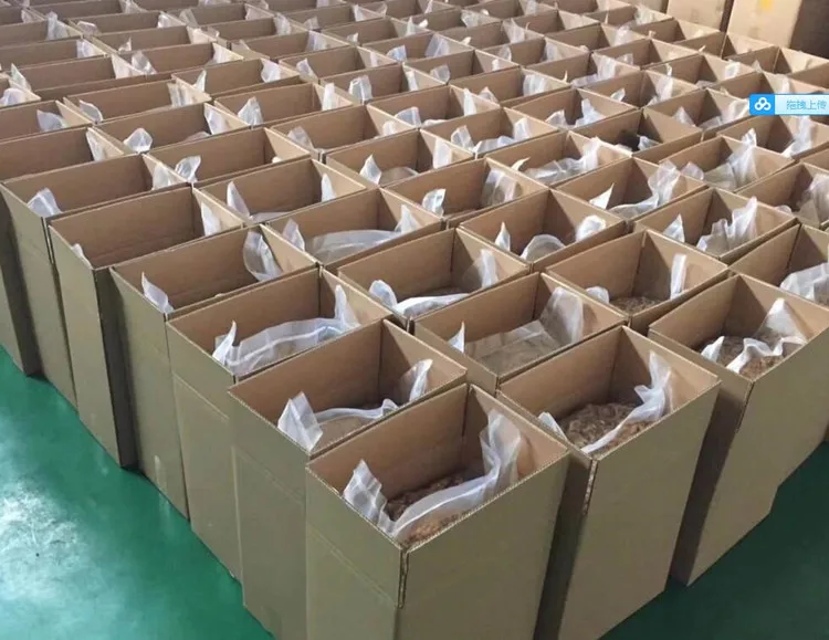 walnuts prices usa from thailand in germany