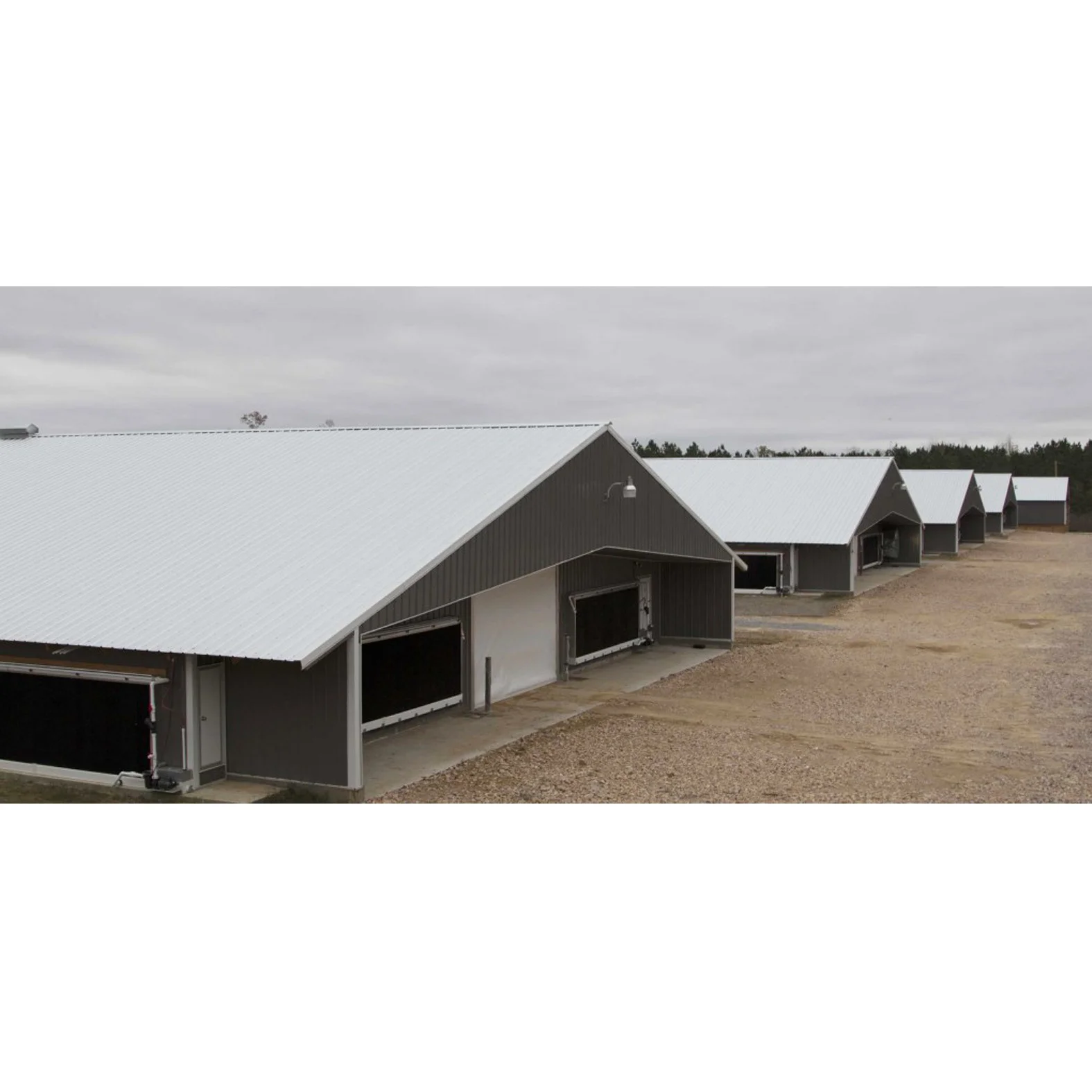 High Quality Light Steel Poultry Chicken House Industrial Design Style from China