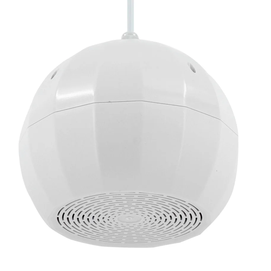 Hot Selling Indoor Pendant Speaker Hanging Pendant PA System Wall-mounted Speaker  Suspended Ceiling Speaker Ceiling Loudspeaker
